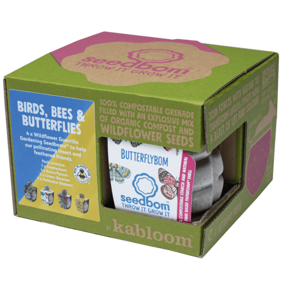 Birds, Bees & Butterflies Seedbom Gift Box