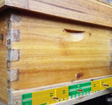 Plastic Beehive Entrance - BEE KEEPING EQUIPMENT