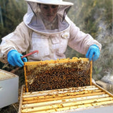 Bee Experience Day - BEE KEEPING EQUIPMENT