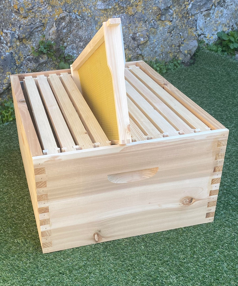 Budget Langstroth Brood Box with frames and foundation BEE KEEPING