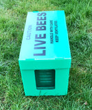 6 frame Correx Nuc Box with Mesh Screen - BEE KEEPING EQUIPMENT