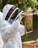 Bee Experience Day - BEE KEEPING EQUIPMENT