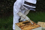 Bee Experience Day - BEE KEEPING EQUIPMENT