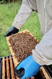 Bee Experience Day - BEE KEEPING EQUIPMENT