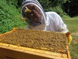 Bee Experience Day - BEE KEEPING EQUIPMENT