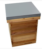 2024 Complete National Cedar Beehive with Buckfast Honey Bees - BEE KEEPING EQUIPMENT