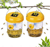 Solar Wasp Trap