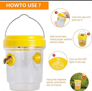 Solar Wasp Trap
