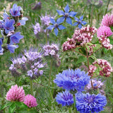 Birds, Bees & Butterflies Seedbom Gift Box - BEE KEEPING EQUIPMENT