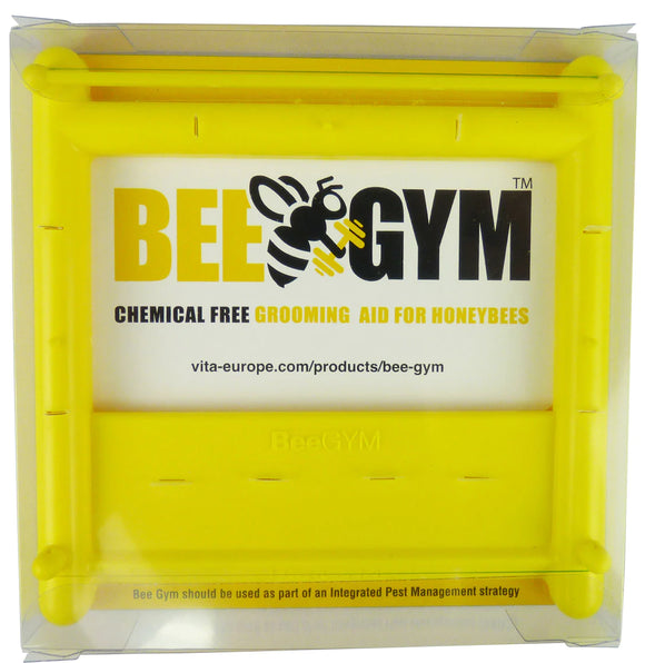 Bee Gym
