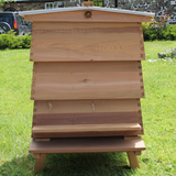 West Country Honey Assembled Bee Hive with Cedar Wood for Easy Beekeeping