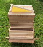 West Country Honey assembled bee hive with cedar wood and yellow plastic foundation for beekeeping
