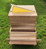Assembled WBC Cedar Bee Hive