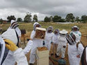Bee Experience Day - BEE KEEPING EQUIPMENT