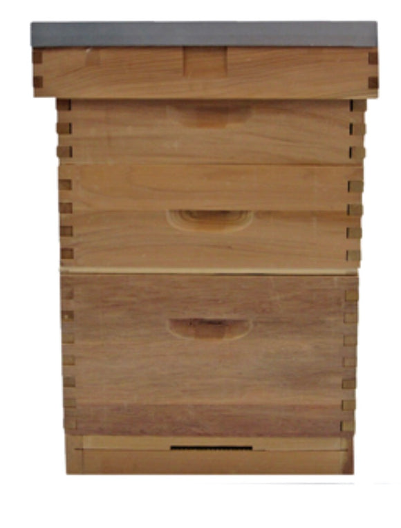 Assembled Langstroth With Frames and foundation Cedar Beehive - BEE KEEPING EQUIPMENT