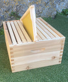 Budget Langstroth Brood Box with frames and foundation