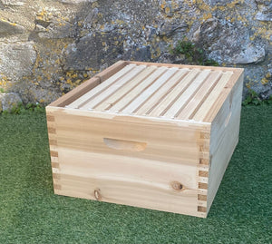 Budget Langstroth Brood Box with frames and foundation