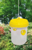 Wasp trap - BEE KEEPING EQUIPMENT