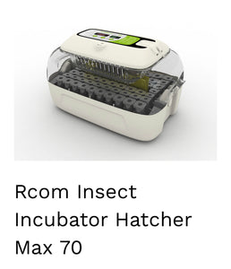 Insect incubator Hatcher rcom mx70 - BEE KEEPING EQUIPMENT
