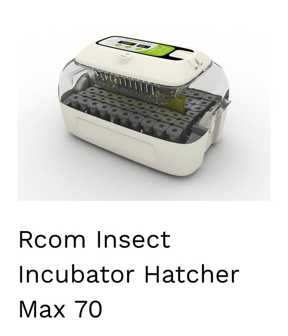 Rcom 70 Insect Insect incubator Hatcher rcom mx70 – BEE KEEPING EQUIPMENT