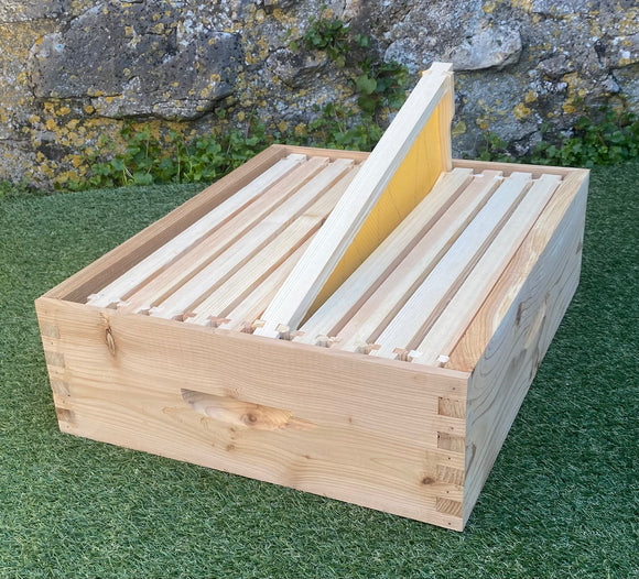 Langstroth Super Box with frames and foundation