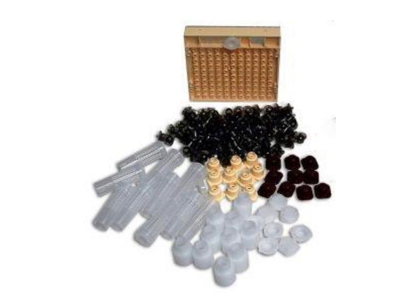 Queen Cup System Starter Kit (Budget version)